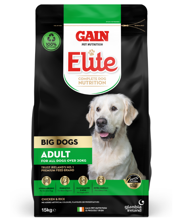Gain Elite - Big Dog Adult