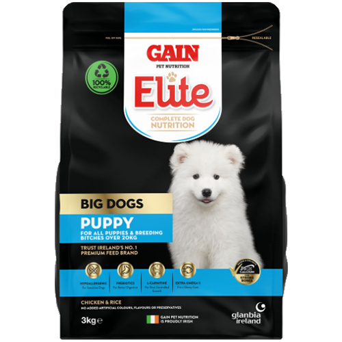Gain Elite - Big Dog Puppy
