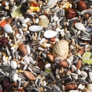Parrot Seed 2kg