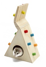 Hamster Climbing Wall and Hide