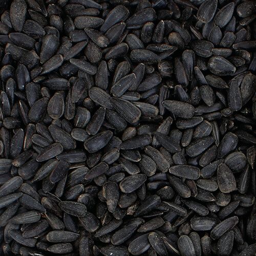 Black Sunflower Seeds 6kg