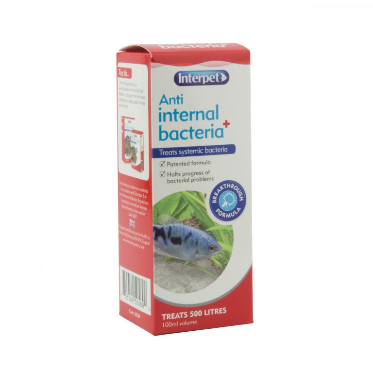 Interpet Anti Internal Bacteria Plus – 100ml